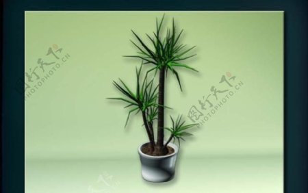 装饰构件之植物3D模型植物004