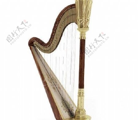 竖琴harp