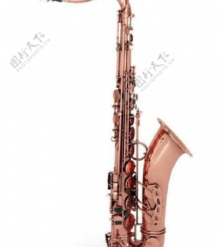 男高音萨克斯管tenorsaxophone