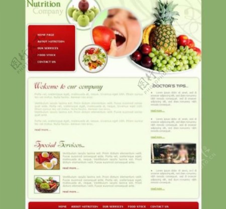 女性饮食美容网站模板图片
