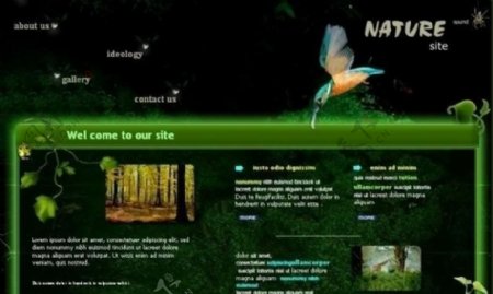 大自然生物网站flash模板素材图片