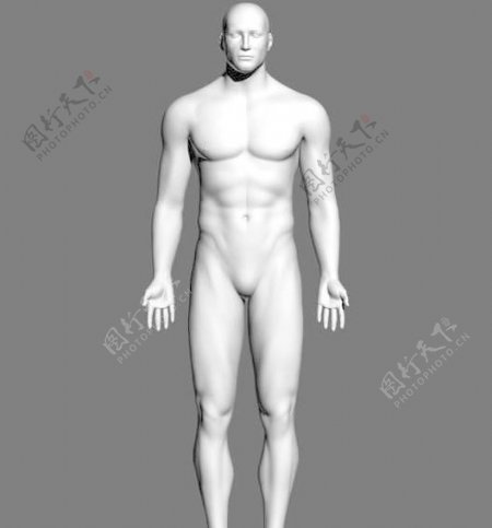 Malebody男人体基本模型