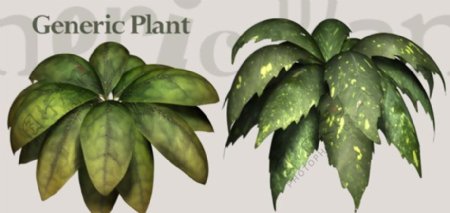 植物3D模型素材20080502更新6