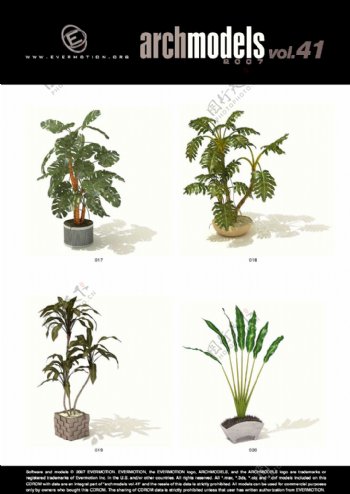 三维植物模型素材3D植物图片