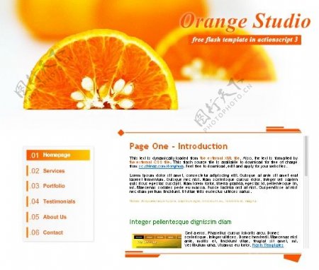 橙子片模板flash