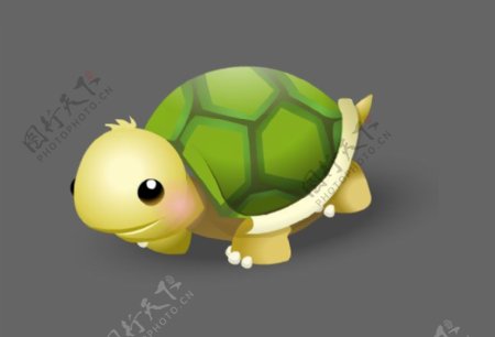 乌龟动画