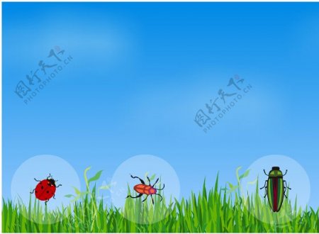 草地上的昆虫动画