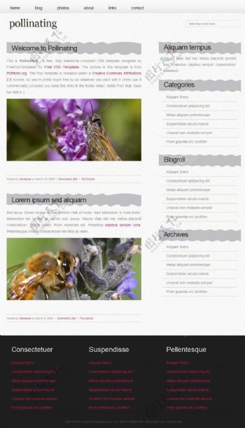 花粉采蜜简洁BLOG网页模板