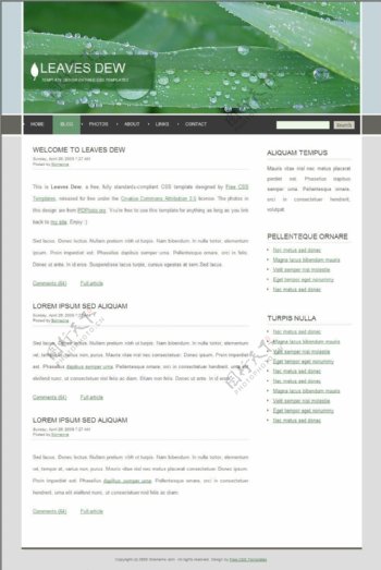 绿叶露水主题BLOG网页模板