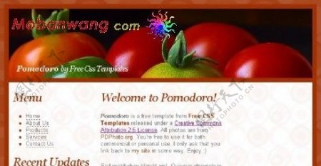 西红柿介绍网页模板