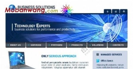 电子商务解决方案网站模板