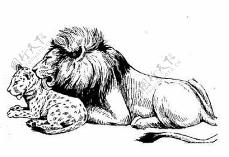 位图动物狮子色彩艺术效果免费素材
