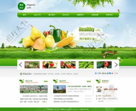 果蔬农业网站PSD素材