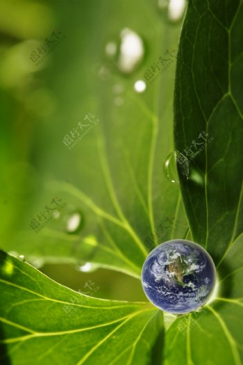 绿叶地球水水滴图片