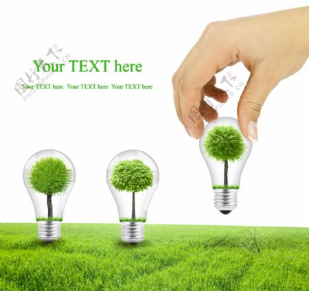 绿色灯泡生态设计图片