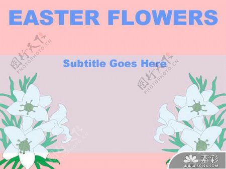 欧美复活节花卉PPT模板
