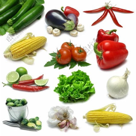 布纹花纹绿色蔬菜图片