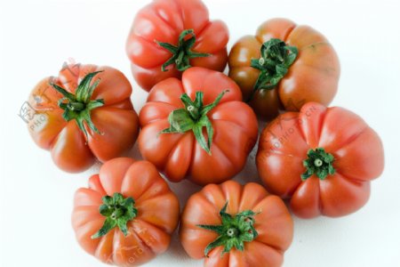 西红柿高清摄影图片