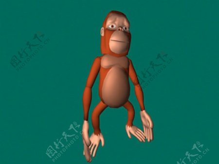 猴子模型