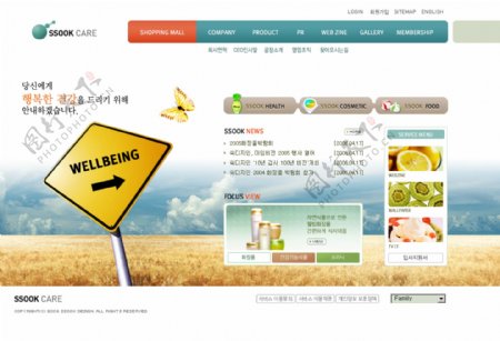 绿色健康美容食品网页模板