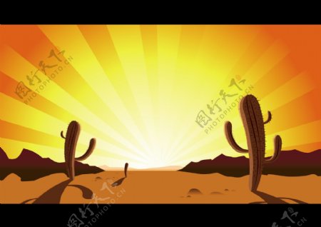 日落沙漠仙人掌矢量图下载