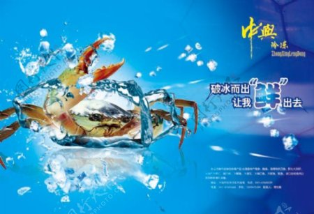 创意冷冻螃蟹广告