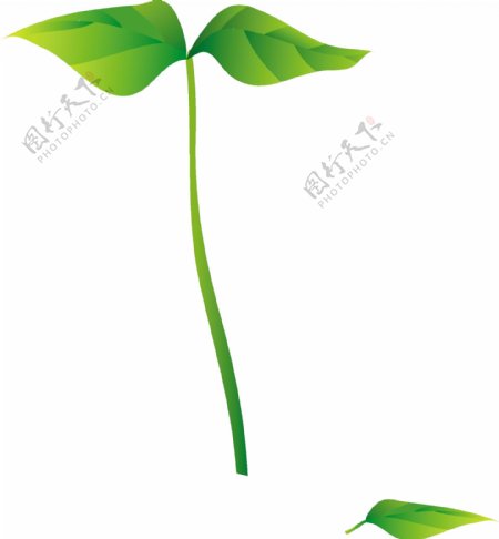 绿叶树叶环保背景图片
