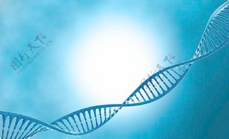 DNA遗传基因图片