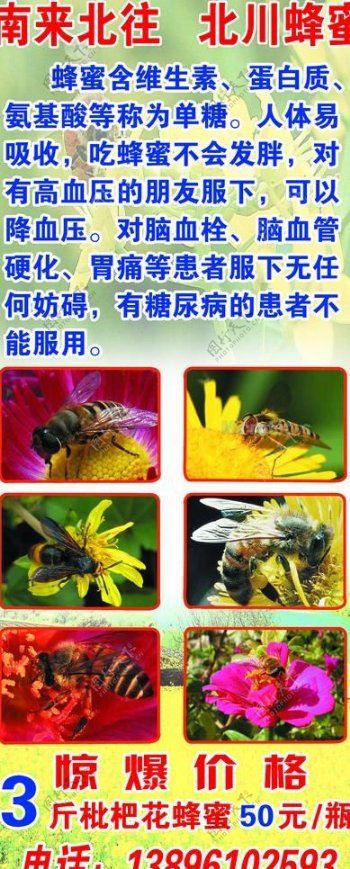 蜂蜜x展架图片