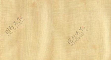 枫木26木纹木纹板材木质