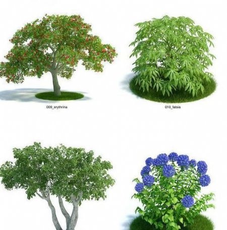 3D精品植物PDF格式
