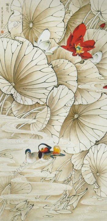 中国画花鸟画工笔画
