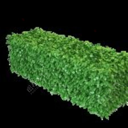 3D绿篱模型