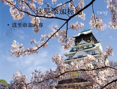 日本风光风景摄影Bing主题宽屏