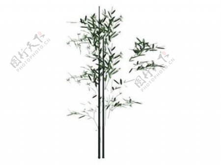 植物竹子装饰素材3d模型下载家装素材9