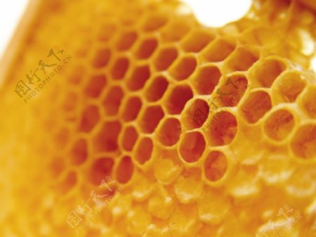 金黄色蜜蜂蜜