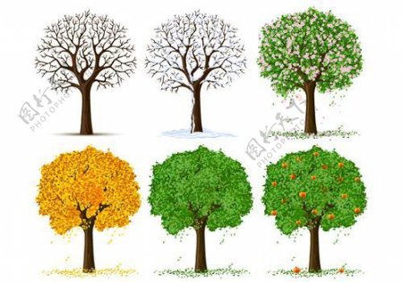 各种各样的树