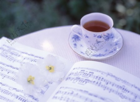 桌子上的曲谱鲜花茶水茶杯图片