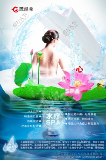 精油水疗SPA养生美女裸背广告图