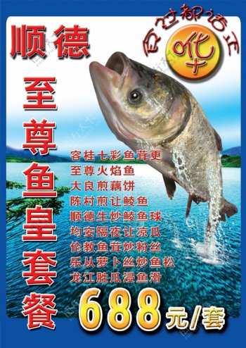 美食鱼宣传海报图片