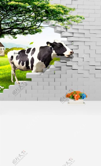3D奶牛壁纸照片墙