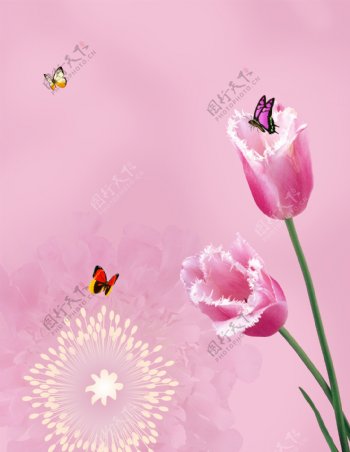 玻璃移门装饰图片粉红郁金香蝴蝶