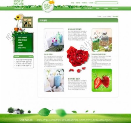绿色网页图片