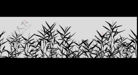 植物视频素材展示