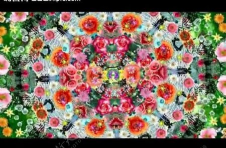 花团锦簇视频素材图片