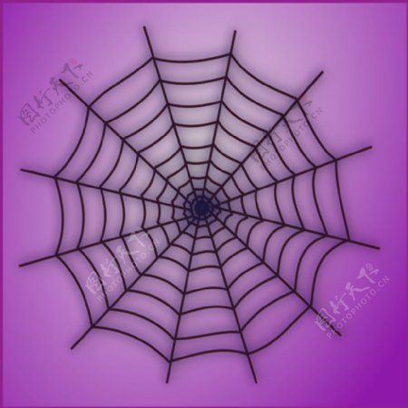 蜘蛛网图标2