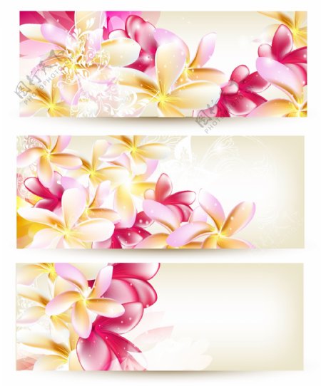 精美花卉横幅矢量素材2