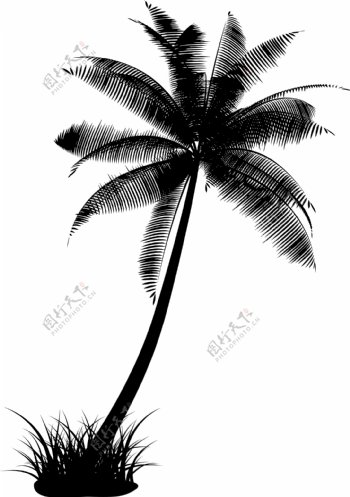 一款AI格式椰子树剪影矢量素材