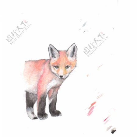 位图艺术效果手绘动物狐狸免费素材