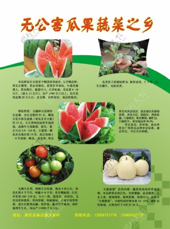 蔬菜之乡彩页图片